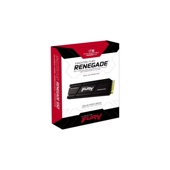 Kingston Technology FURY Renegade M 2 1000 Go PCI Express 4 0 3D TLC