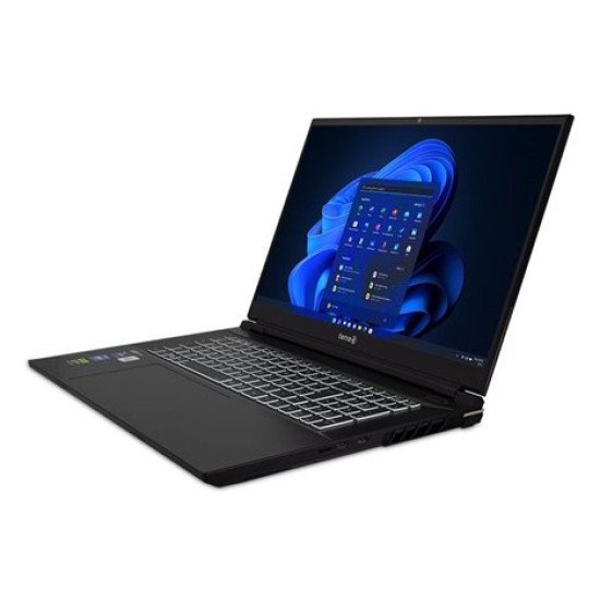 Wortmann AG TERRA MOBILE FR1220804 laptop Intel® Core™ i9 i9-14900HX Ordinateur portable 43,9 cm (17.3") 2K Ultra HD 32 Go DDR5-SDRAM 2 To SSD NVIDIA GeForce RTX 4070 Wi-Fi 6 (802.11ax) Windows 11 Pro Noir