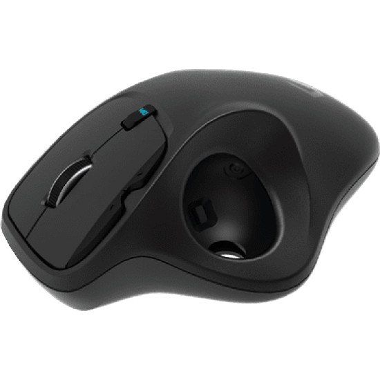 KeySonic KSM-6101RF-EGT souris Droitier RF sans fil 1000 DPI