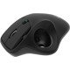 KeySonic KSM-6101RF-EGT souris Droitier RF sans fil 1000 DPI