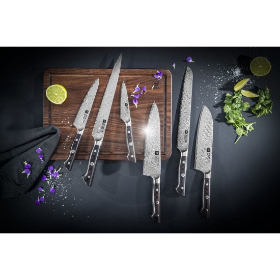 ZWILLING TAKUMI Acier au carbone 1 pièce(s) Couteau Santoku