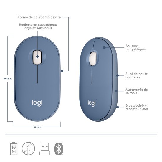 Logitech Pebble M350 souris Ambidextre RF sans fil + Bluetooth Optique 1000 DPI