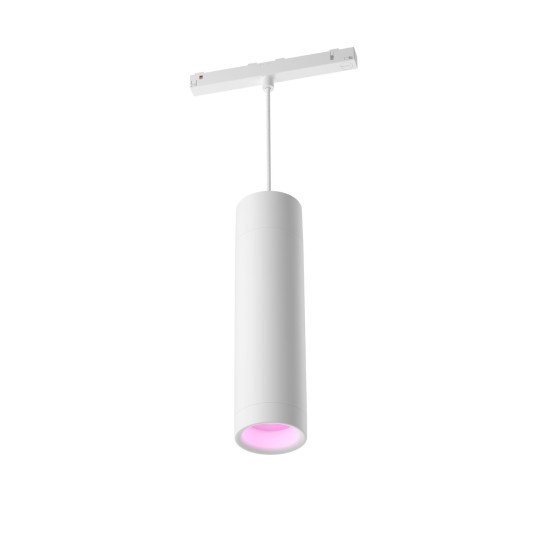 Philips Hue White and Color ambiance Suspension cylindrique Perifo