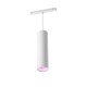 Philips Hue White and Color ambiance Suspension cylindrique Perifo