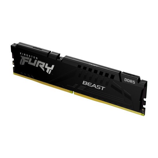 Kingston Technology FURY Beast module de mémoire 16 Go 1 x 16 Go DDR5 5600 MHz