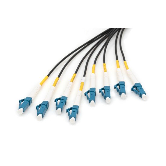 Digitus Câble breakout fibre optique universel préassemblé, multimode OS2, 8 fibres, LC/UPC – LC/UPC