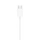 Apple EarPods (USB-C) Casque Avec fil Ecouteurs Appels/Musique USB Type-C Blanc