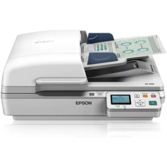 Scanner Epson Expression 13000XL PRO - A3 (inclus transparents)