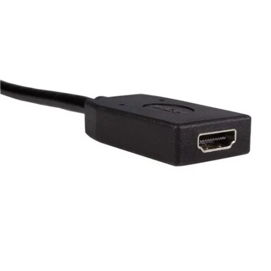 StarTech.com Adaptateur DisplayPort vers HDMI - Convertisseur Vidéo DP 1.2  vers HDMI 1080p - Câble DP vers HDMI pour Moniteur/Écran - Câble Passif DP