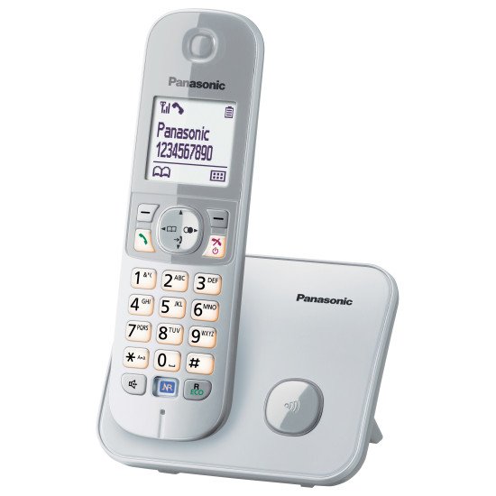 Panasonic KX-TG6811GS téléphone Téléphone DECT Identification de l'appelant Argent