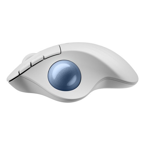 Logitech Ergo M575S souris Bureau Droitier RF sans fil + Bluetooth Trackball 2000 DPI