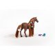 schleich HORSE CLUB Beauty Horse