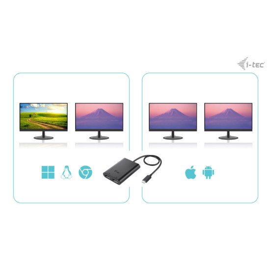 i-tec USB-C Dual 4K/60Hz (single 8K/30Hz) DP Video Adapter