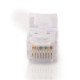 C2G Cat6 Snagless Patch Cable White 10m câble de réseau Blanc U/UTP (UTP)