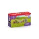 schleich HORSE CLUB Kit De Nourriture