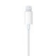 Apple EarPods Casque Avec fil Ecouteurs Appels/Musique Blanc