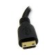 StarTech.com Adaptateur vidéo Mini HDMI vers DVI-D de 20 cm - Convertisseur Mini HDMI vers DVI - M/F - Noir