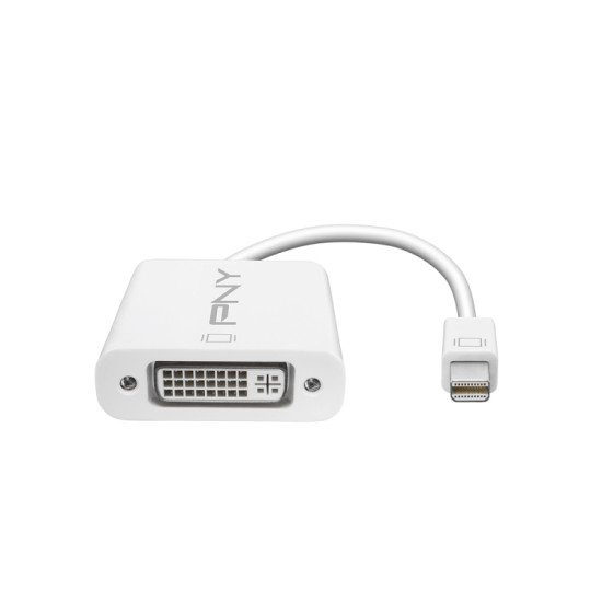 PNY Mini DisplayPort - DVI Blanc