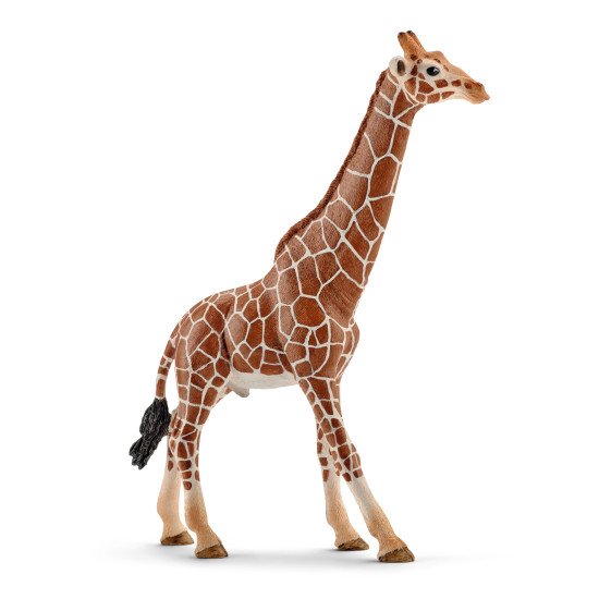 schleich WILD LIFE Girafe Mâle