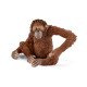 schleich WILD LIFE Orang-Outan, Femelle