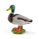 schleich Farm World Canard