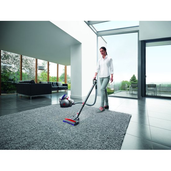 Dyson Big Ball Parquet 2 Violet