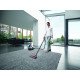 Dyson Big Ball Parquet 2 Violet