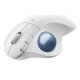 Logitech Ergo M575S souris Bureau Droitier RF sans fil + Bluetooth Trackball 2000 DPI