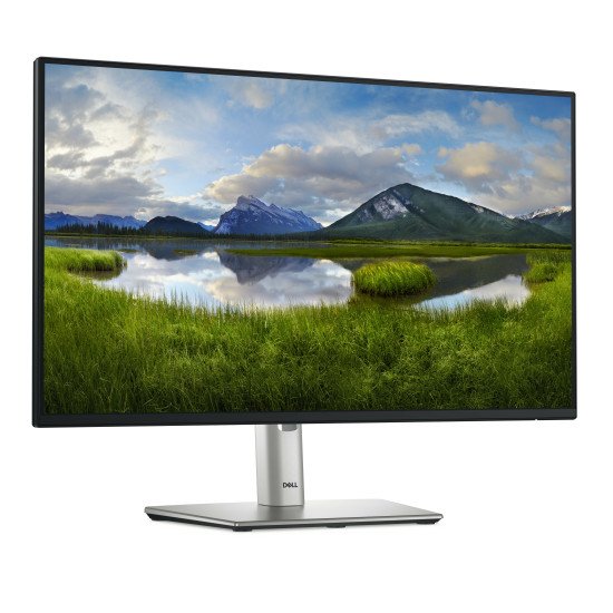 DELL P Series P2425H écran PC 61 cm (24") 1920 x 1080 pixels Full HD LCD Noir