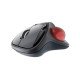 KeySonic KSM-6101RF-EGT souris Droitier RF sans fil 1000 DPI