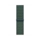 Apple MYJ93ZM/A accessoire intelligent à porter sur soi Bande Vert Nylon, Polyester, Spandex