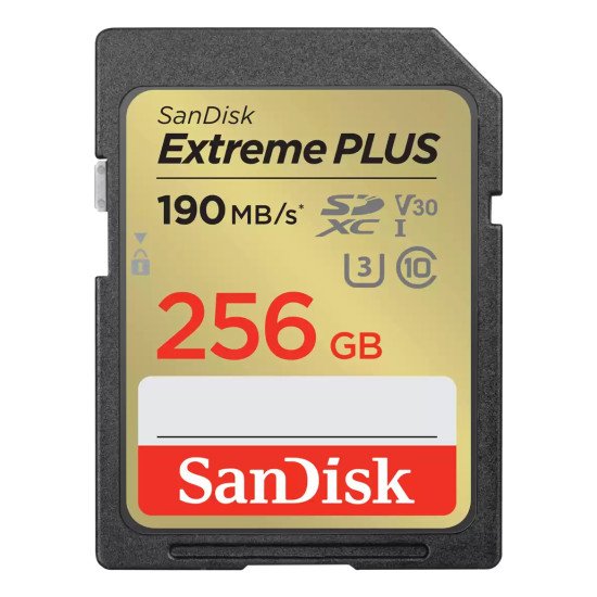 SanDisk SDSDXW2-256G-GNCIN 64 Go SDXC Classe 10