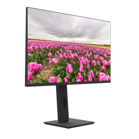 V7 Moniteur IPS 23.8 po FHD 1920 x 1080