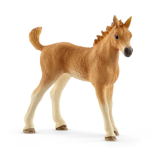 schleich HORSE CLUB Les soins pour bébé animaux d' Sarah