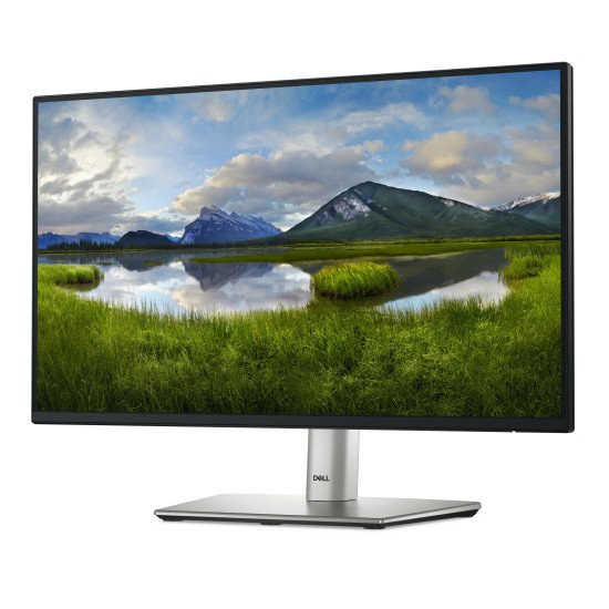 DELL P Series P2225H écran PC 54,6 cm (21.5") 1920 x 1080 pixels Full HD LCD Noir, Argent