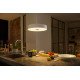 Philips Hue White ambiance Suspension Fair