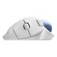 Logitech Ergo M575S souris Bureau Droitier RF sans fil + Bluetooth Trackball 2000 DPI