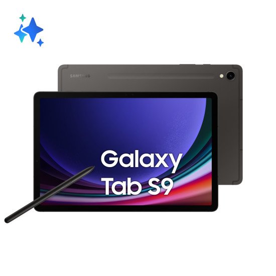 Samsung Galaxy Tab S9 SM-X716B 5G Qualcomm Snapdragon 128 Go 27,9 cm (11") 8 Go Wi-Fi 6 (802.11ax) Android 13 Graphite