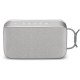 TechniSat BLUSPEAKER TWS XL Enceinte portable stéréo Gris 30 W