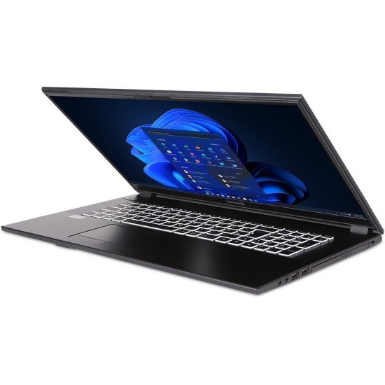 TERRA 1716A Intel® Pentium® G6405U Ordinateur portable 43,9 cm (17.3") Full HD 8 Go DDR4-SDRAM 256 Go SSD Wi-Fi 5 (802.11ac) Windows 11 Pro Noir