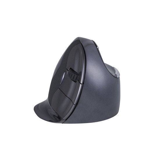 BakkerElkhuizen BNEEVRDW souris RF sans fil 3200 DPI Droitier