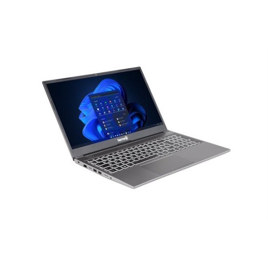 Wortmann AG TERRA MOBILE CH1220781 laptop Ordinateur portable 39,6 cm (15.6") Full HD Intel® Core™ i5 i5-1235U 16 Go DDR4-SDRAM 1 To SSD Wi-Fi 6 (802.11ax) Windows 11 Pro Gris