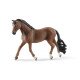 schleich HORSE CLUB Hongre Trakehner