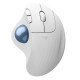 Logitech Ergo M575S souris Bureau Droitier RF sans fil + Bluetooth Trackball 2000 DPI