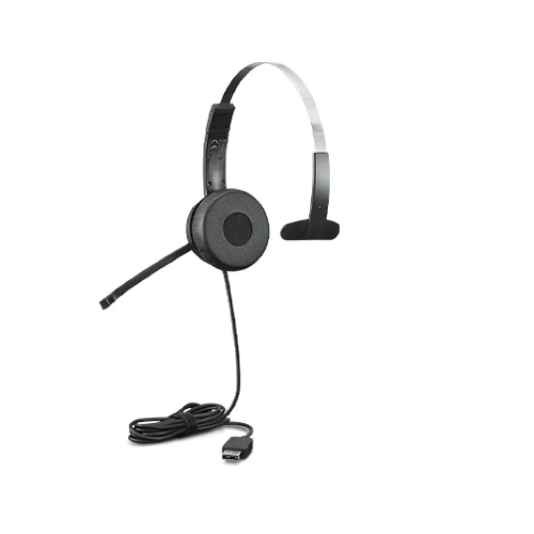 Lenovo 4XD1C99220 écouteur/casque Avec fil Ecouteurs Musique/Quotidien USB  Type-C Noir sur