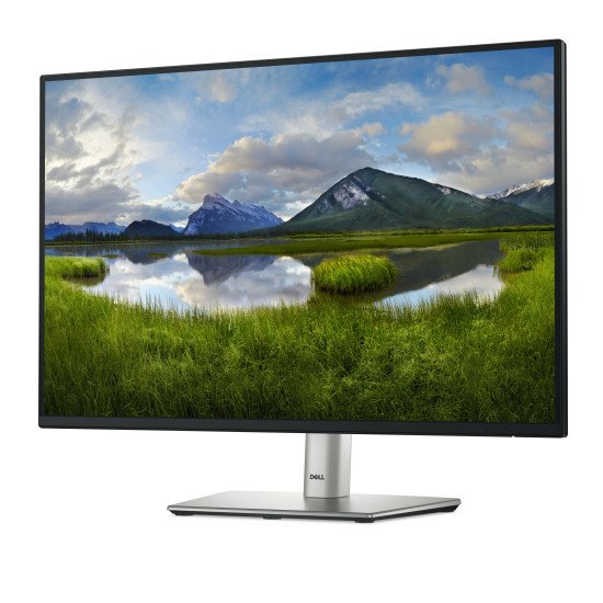 DELL P Series P2425 écran PC 61,1 cm (24.1") 1920 x 1200 pixels WUXGA LCD Noir