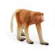 schleich WILD LIFE Nasique