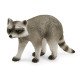 schleich WILD LIFE Jeux rigolos avec la noix