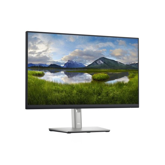 DELL P Series P2422H LED display 60,5 cm (23.8") 1920 x 1080 pixels Full HD LCD Noir