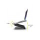 Port Designs 901108 Support de livres Supports de Laptop Noir 39,6 cm (15.6")